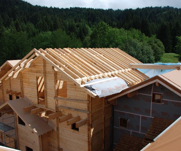 Charpente et toiture d’un chalet en cours, vue depuis les toits avec forêt en arrière-plan.